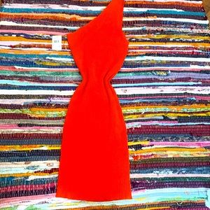 Over the Shoulder Mini Dress